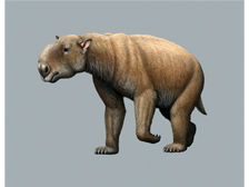 Prehistoric giant marsupial