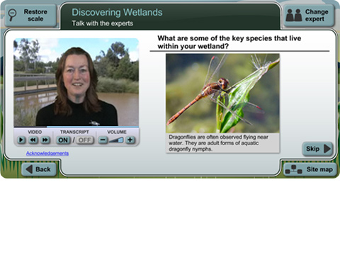 Discovering Wetlands: talk with the experts